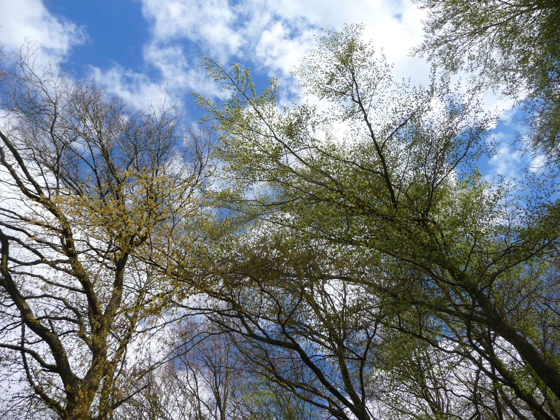 Ausblick aus dem Braubachtal - Mit neuen Kräften gehen im Taunus