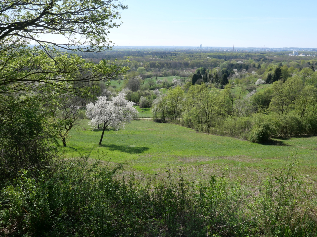 Gipfelglück im Flachland
