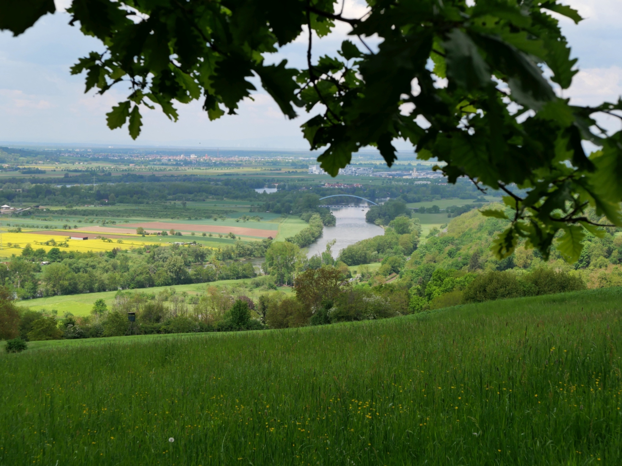 Schweben für Anfänger am Plattenberg bei Kleinwallstadt - Foto von Georg Magirius