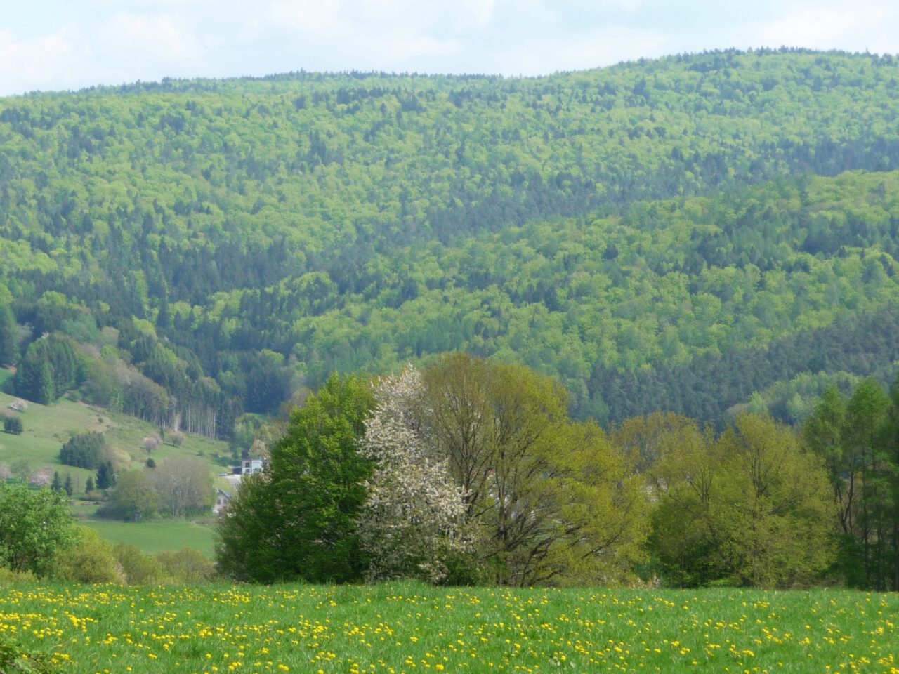 Was Preußen und Bayern vereint: Zum Beispiel die Faustballfelder bei Frammersbach, die die schönste Aussicht bieten aller Faustballfelder nördlich der Alpen