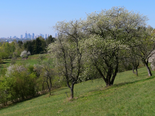 Gipfelglück im Flachland