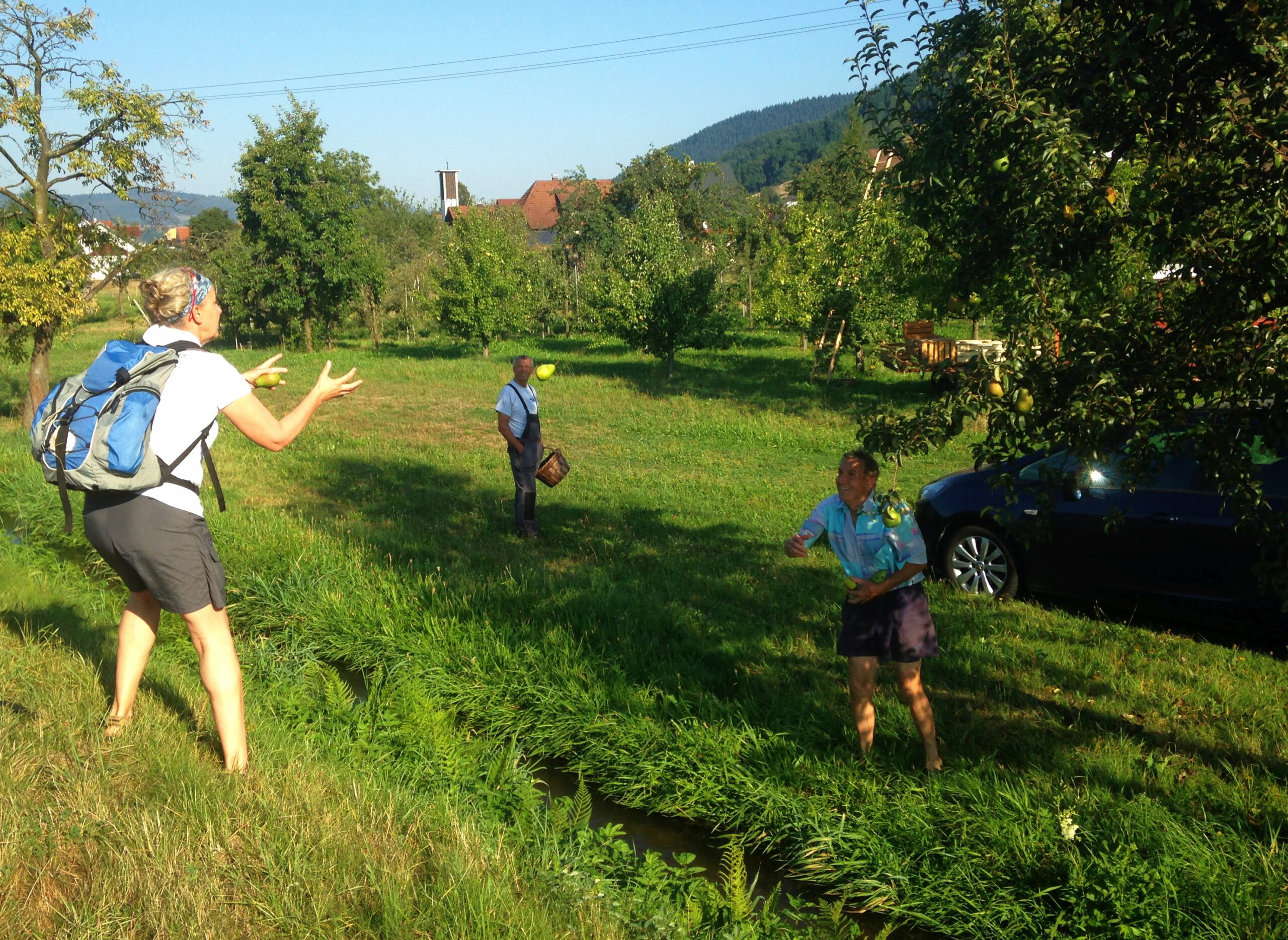 Birnenwurf im Kinzigtal - Foto von Caroline Huber