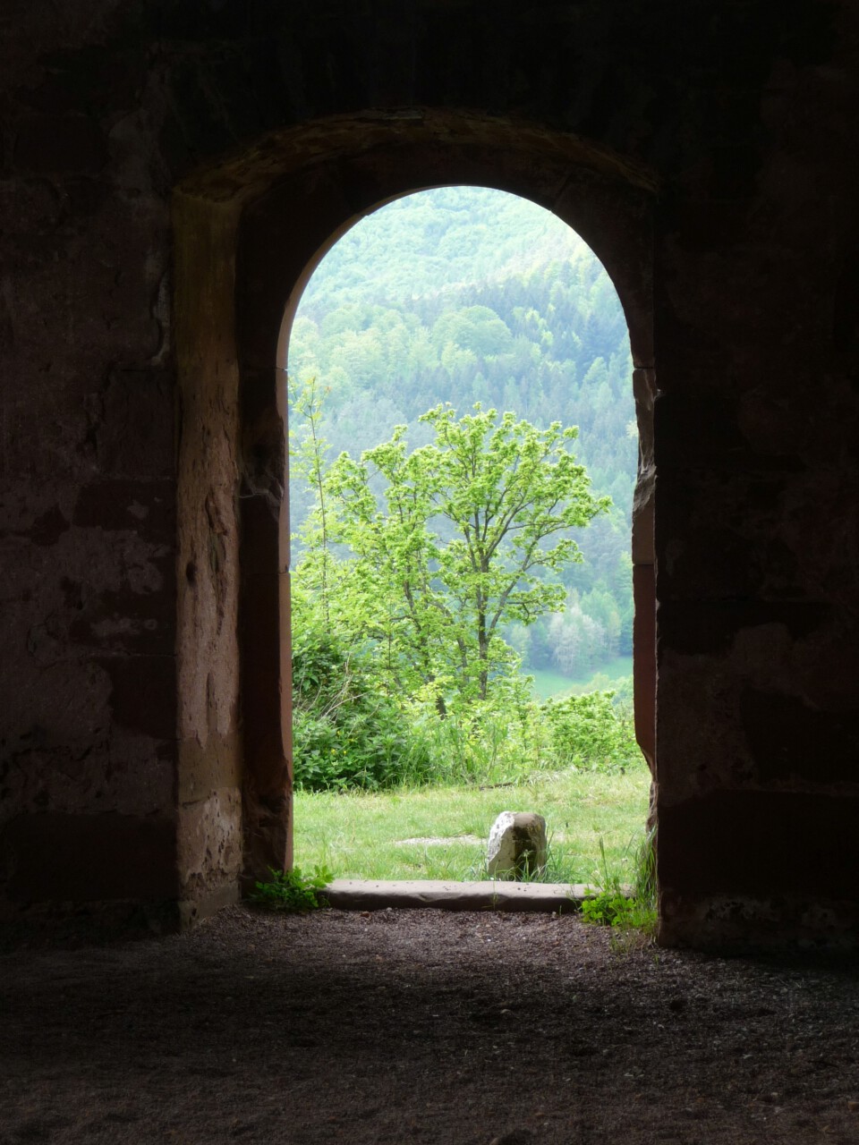 Blick aus Gotthardsruine Amorbach