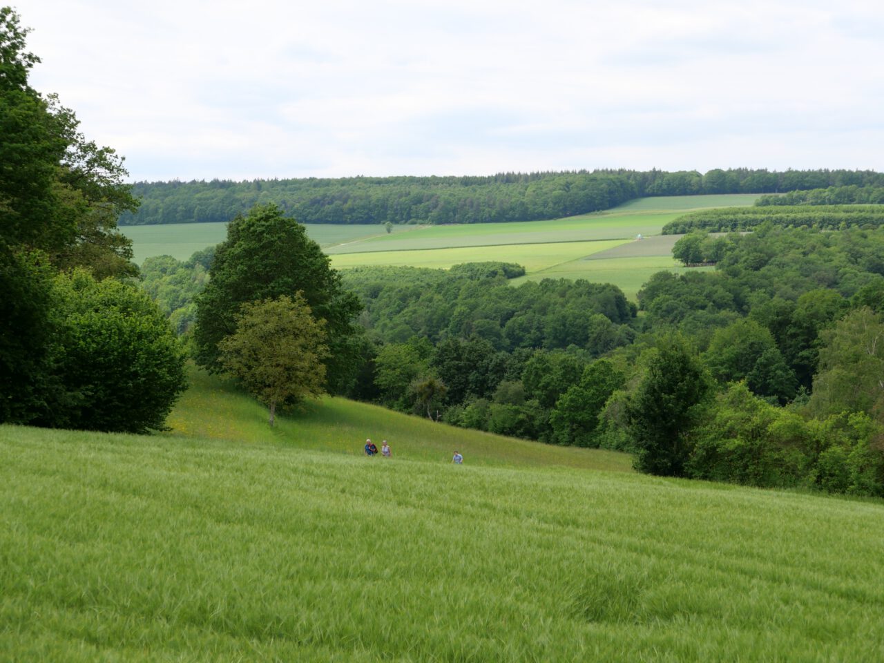 Eigene Fußspuren setzen - zum Beispiel auf dem Weg von Morlesau im Saaletal hinauf nach Ochsenthal