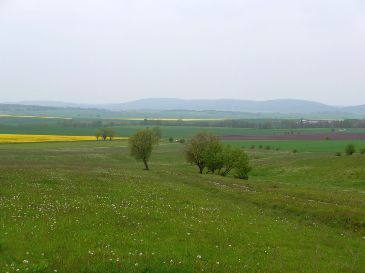 Die Expedition Grenzenlosigkeit beschert einen weiten Blick ins Thüringische