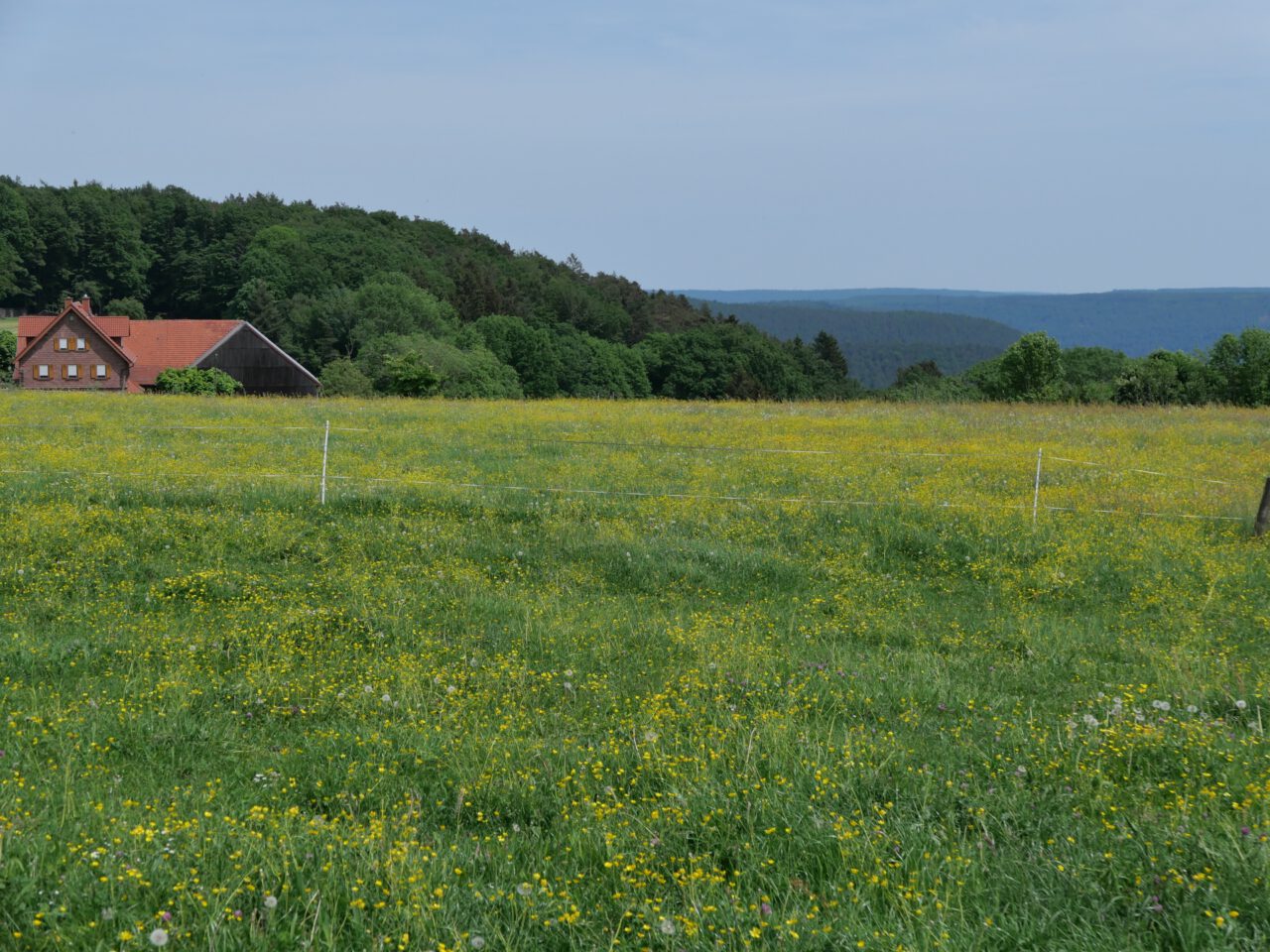 Breitenbuch im Odenwald - Foto (c) Georg Magirius