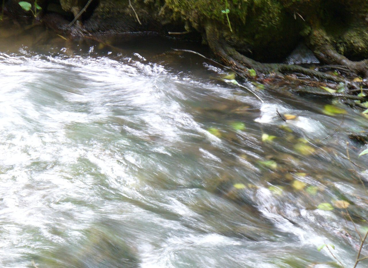 Kraftort Quelle - Buchenbach bei Mariabuchen - Foto (c) Georg Magirius