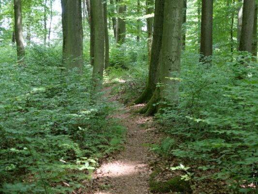 Unterwegs zum Herzensgrund