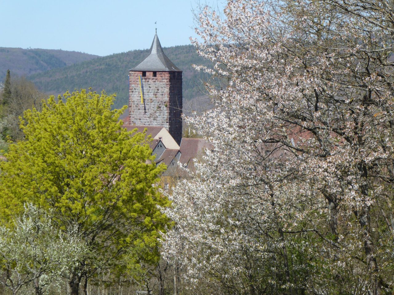 Burg Rothenfels im Blütenmeer - Ziel der spirituellen Wanderung "Dem Fluss der frischen Kräfte folgen - Foto von Georg Magirius