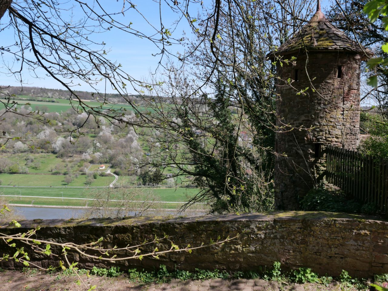 Burgturm mit Main im Frühling - Burg Rothenfels - Foto von Georg Magirius