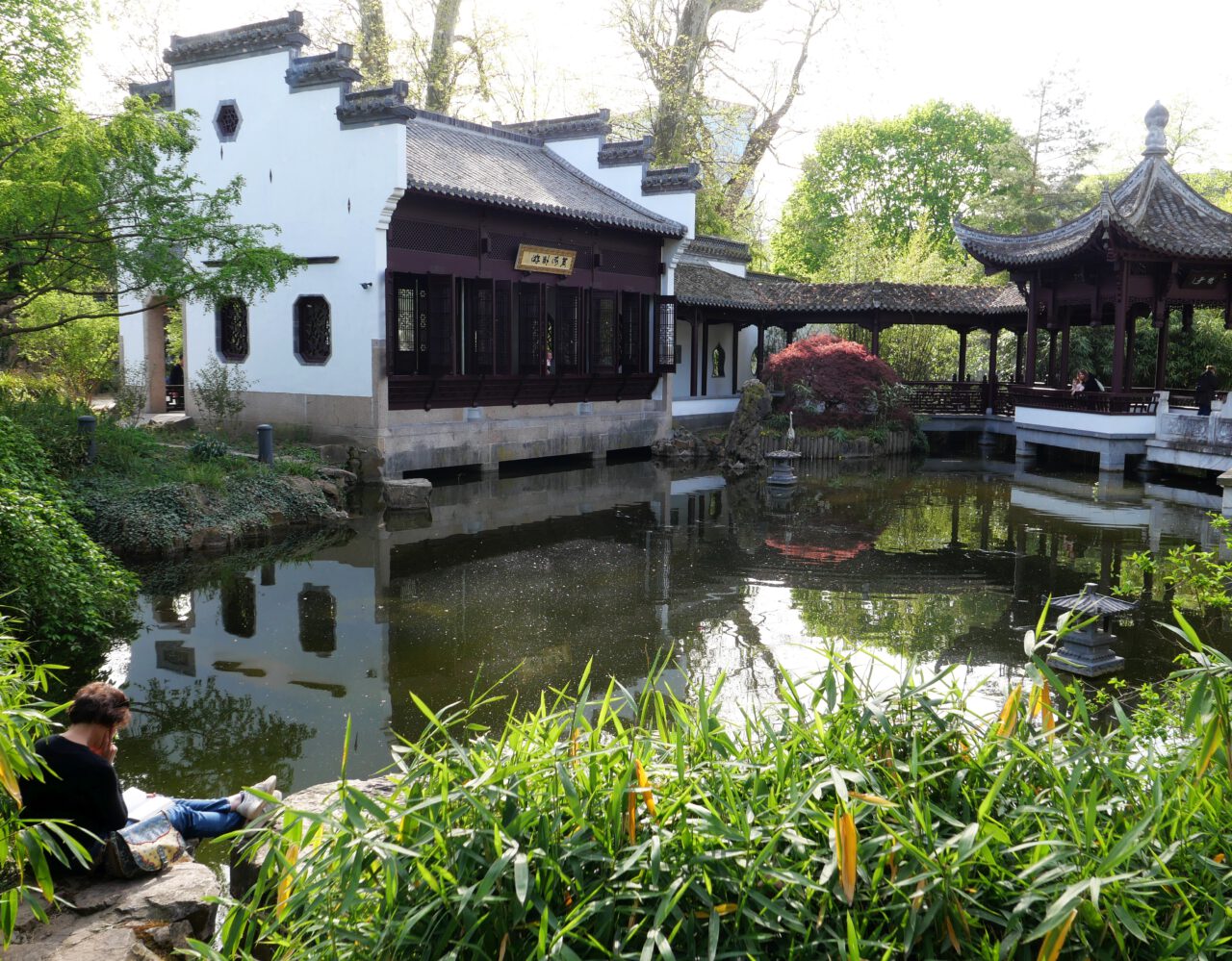 Die stille Akttraktivät des Unvermuteten - Chinesischer Garten im Bethmannpark
