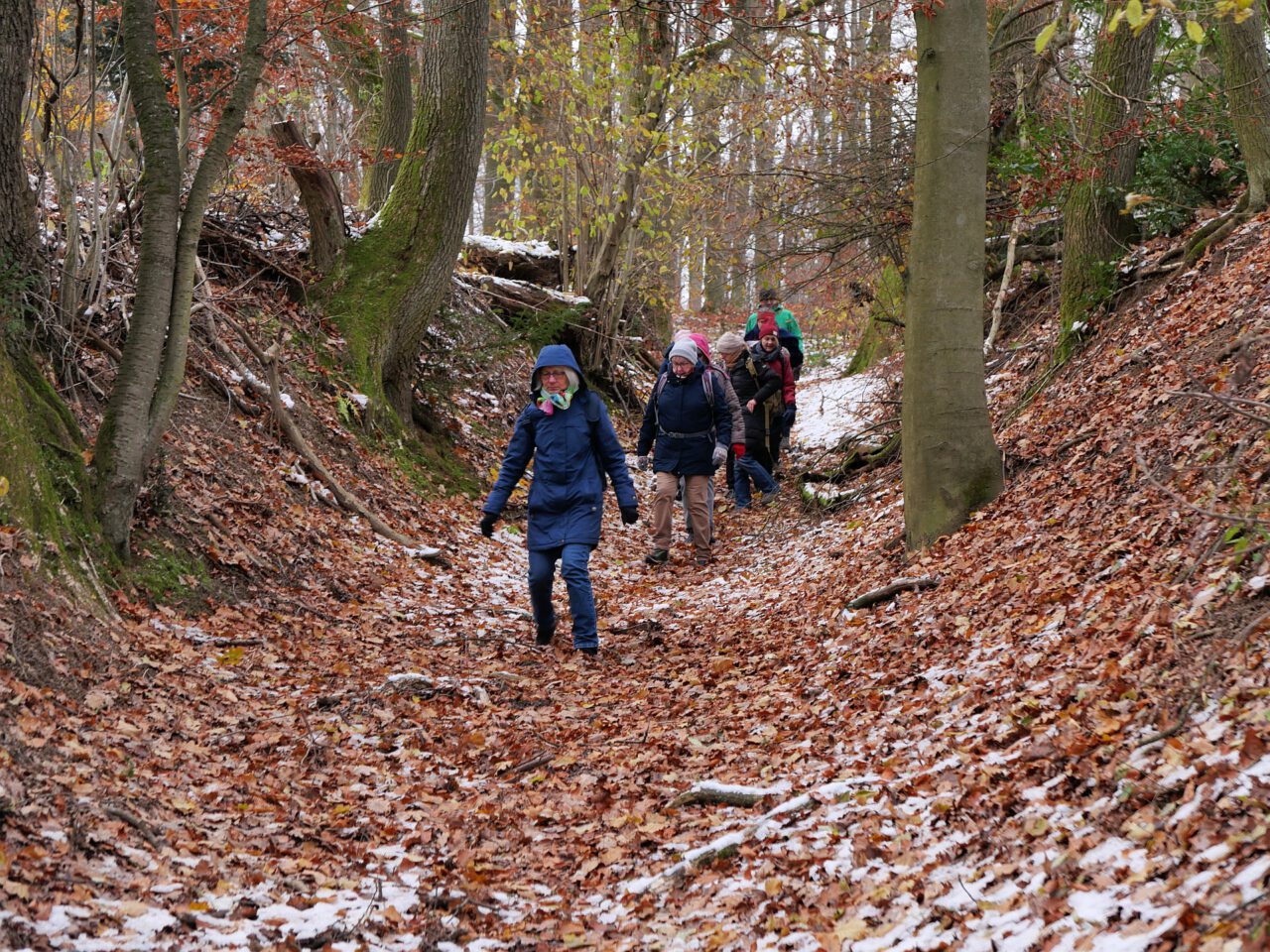 6 Vorteile bei Wohlstandsverlust - Hohelweg in Glattbach - Foto (c) Georg Magirius