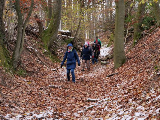 6 Vorteile bei Wohlstandsverlust