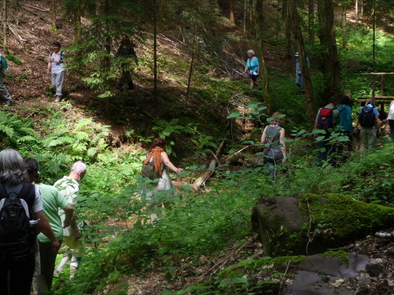 Die Klamm am Tretstein bei Gräfendorf - ganz nahe sind sie, die Wasser der Unendlichkeit