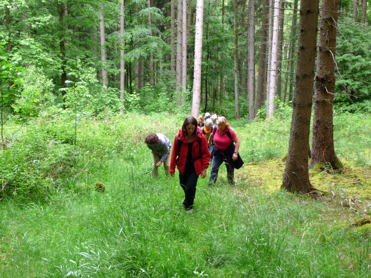 Neue Räume und Wege - durch kniehohes Gras im Wässernachtal