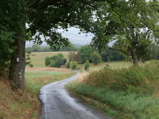 Auf dem Weg des Sonnengesangs