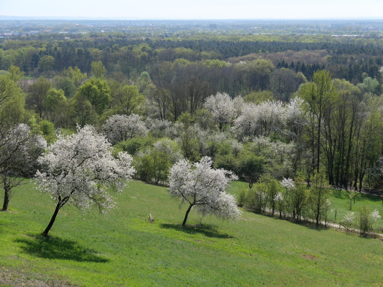 Gipfelglück im Flachland - Foto (c) Georg Magirius aus "Stilles Frankfurt"