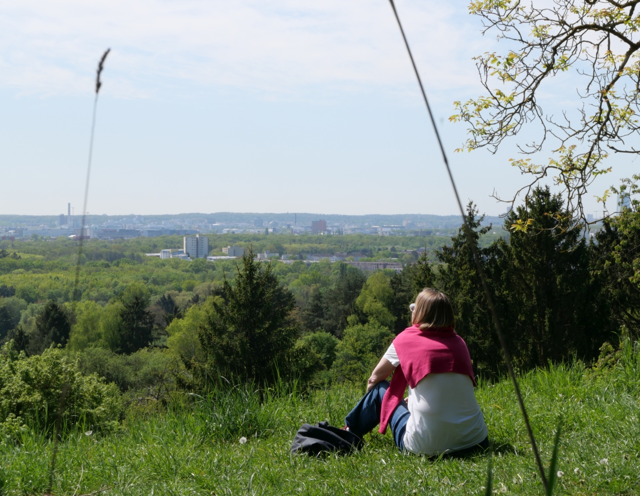 Gangreihe 13/13: Stilles Frankfurt