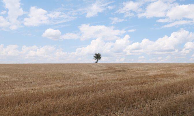 Unterwegs zum Herzensgrund