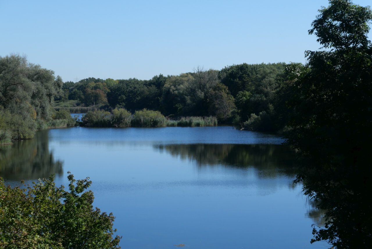 Enkheimer Ried vom Aussichtspunkt - Station der Tour Leicht hinauf ins Freie