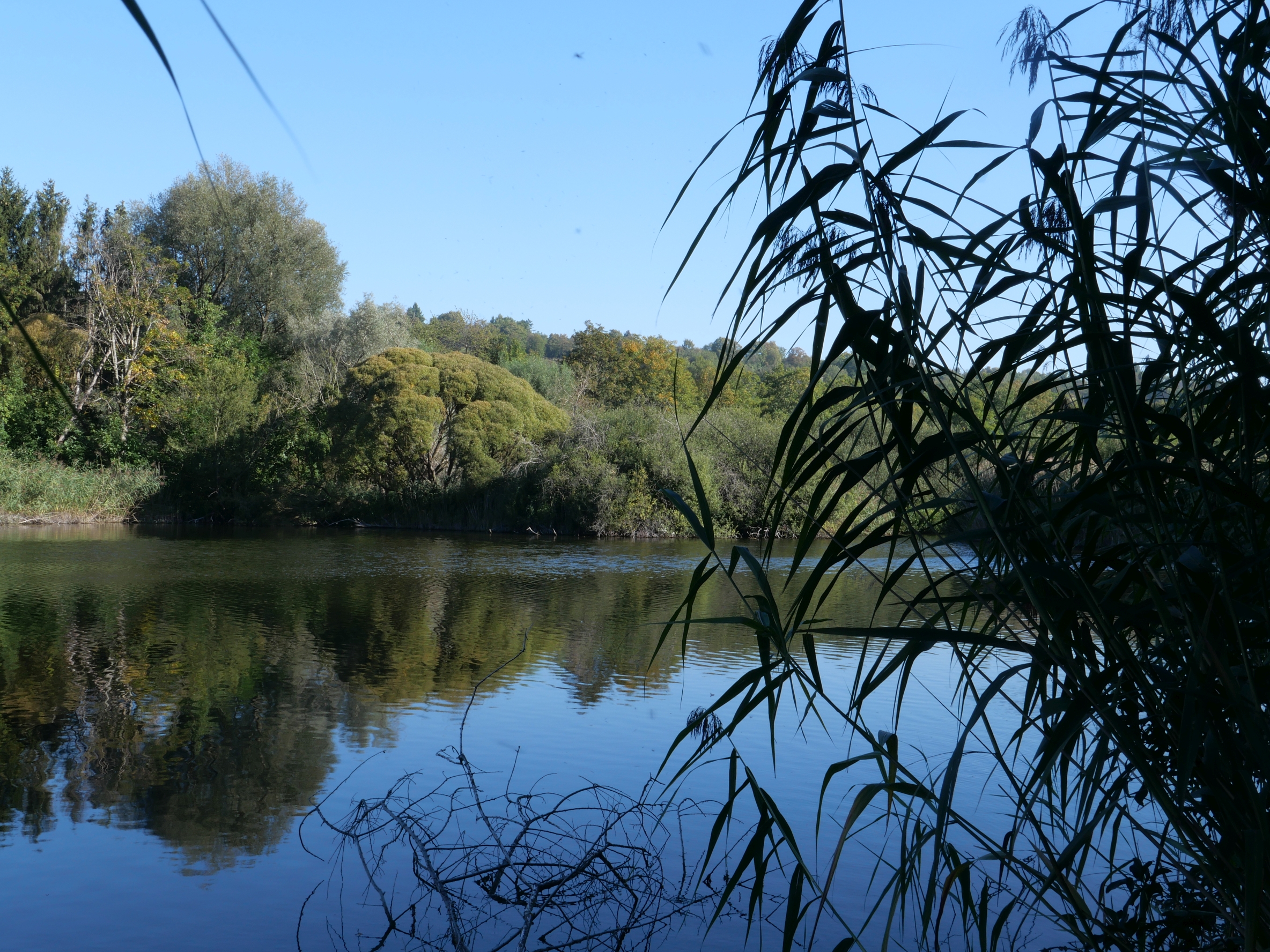 Enkheimer Ried - Station der spirituellen Wanderung "Leicht hinauf ins Freie"