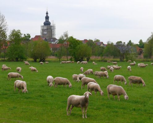 Aufstand gegen den Ernst