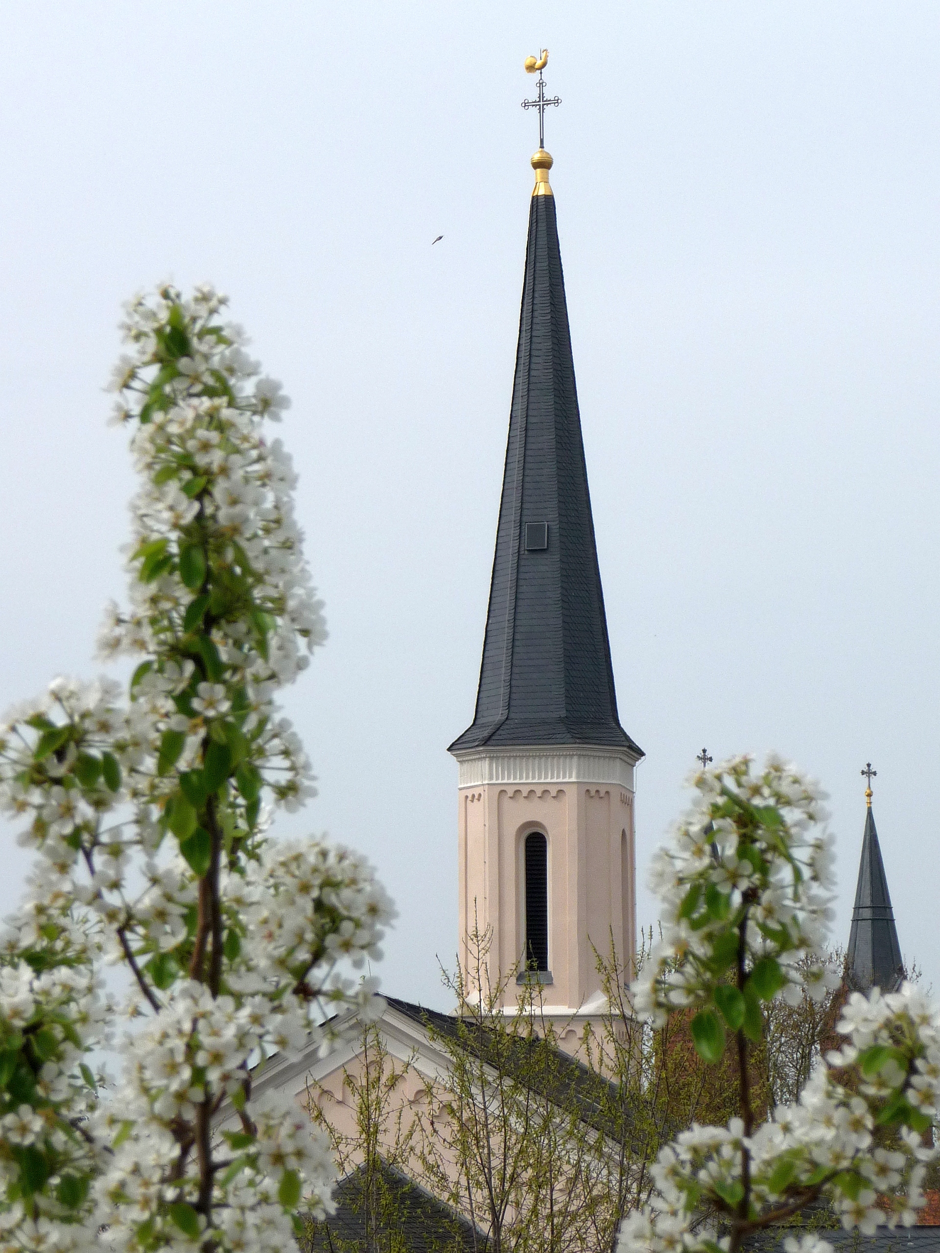 Flaschmob mit Gabriele Wohmann - Evangelische Kirche Seligenstadt am Main