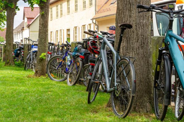 Alternative zu den Zaunverfechtern