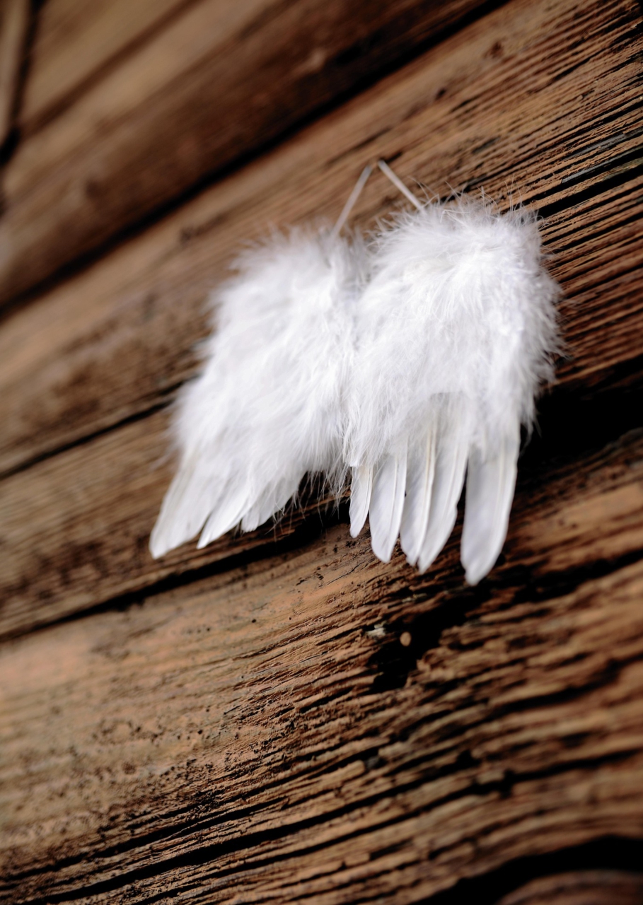 Engel im Aufwind