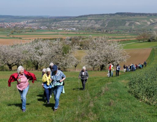 Wo die Seele Flügel findet