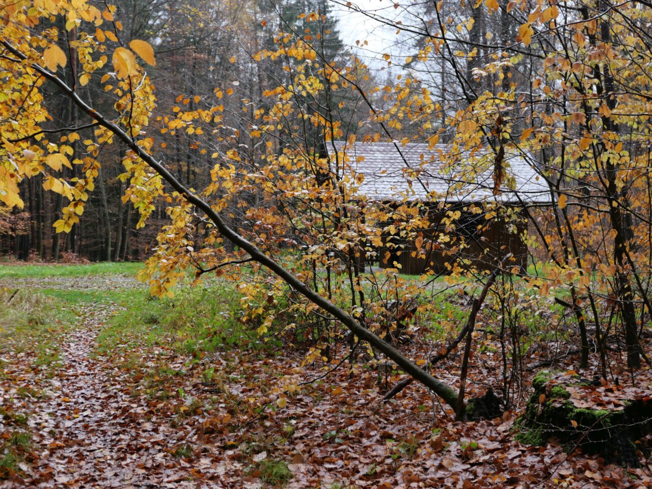 Die Adventswanderung in Amorbach führt an der Fuß-Pils-Hütte vorbei, Foto: Georg Magirius