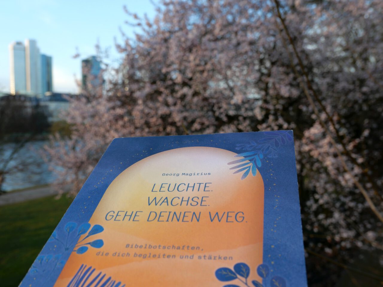 Gehe deinen Weg in Frankfurt am Main - Foto (c) Georg Magirius