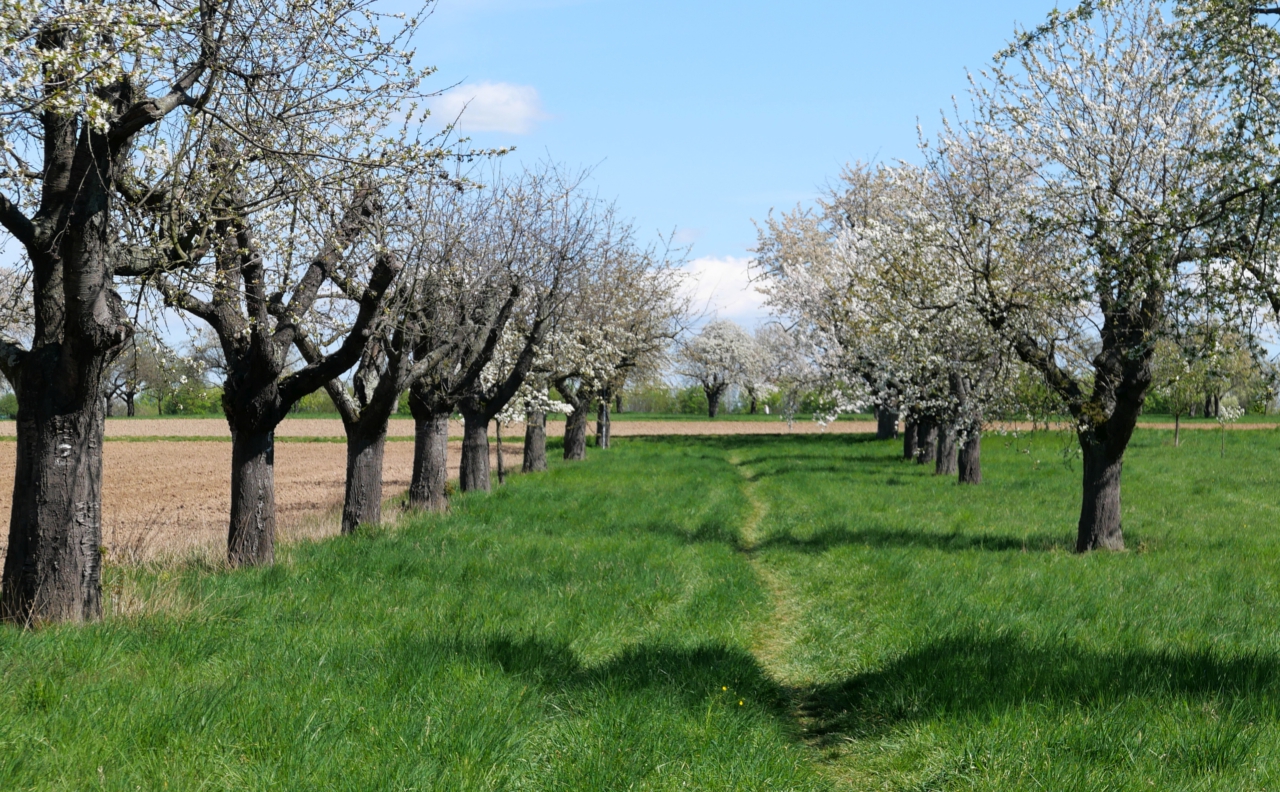 Ein Symbol sagt mehr als 1000 Worte