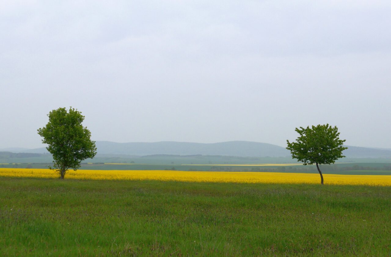 Bayerisch-thüringische Grenze - Über die grüne Grenze in die Freiheit