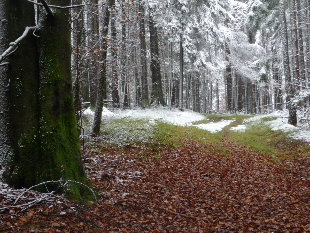 Winterwanderungen durch Franken - Sieben-Grotten-Weg im Spessart - Foto aus "Stilles Franken. 24 Adventsorte".