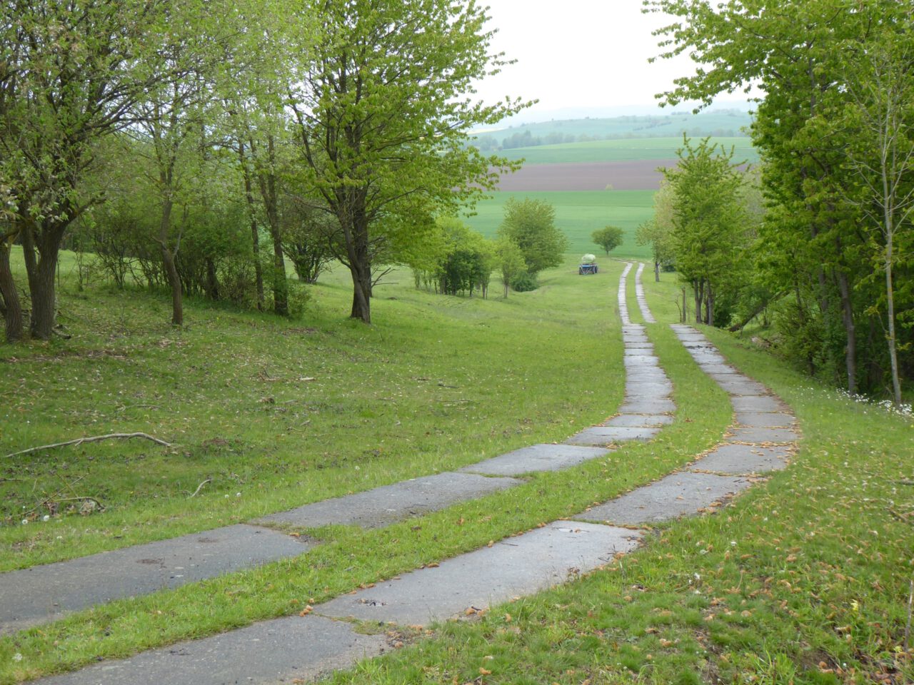 Über die grüne Grenze in die Freiheit wandern - Grünes Band bei Breitensee - Foto von Georg Magirius