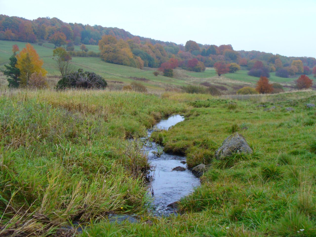 Am Heidelstein in der Rhön kann das Wandern zu einem Fasten für die Seele werden. Foto von Georg Magirius, Stilles Franken