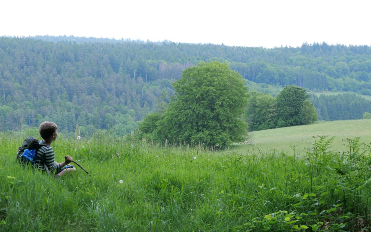 Freiheit im Blick