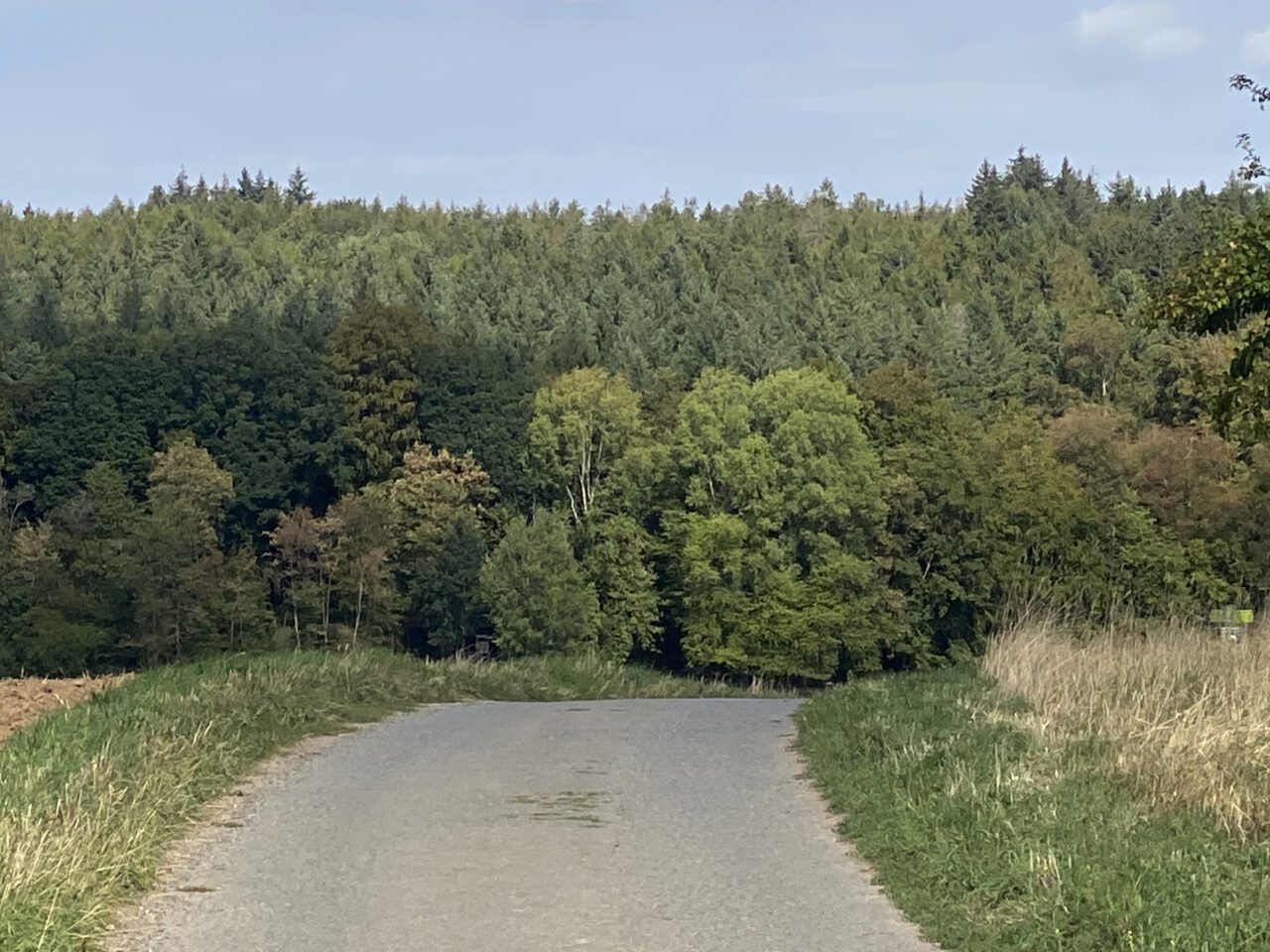 Die ganz einfachen Dinge