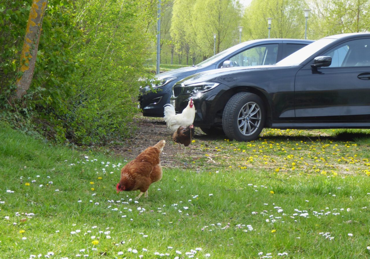 Spiritueller Kraftort - Parkplatz in Sand am Main - Foto aus dem Buch "Frankenfreude - 33 überraschend schöne Orte" - Foto (c) Georg Magirius