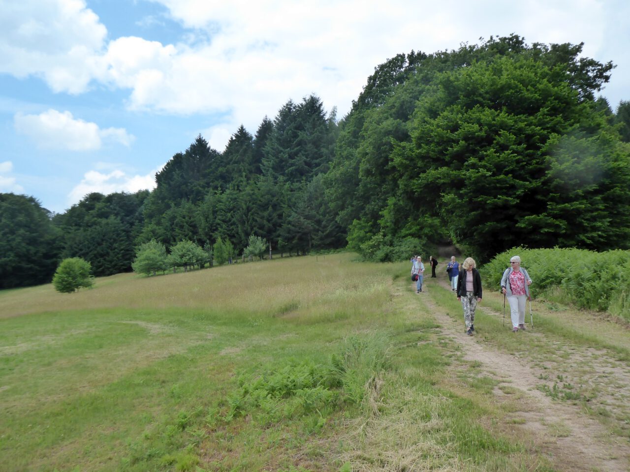 Kurz vor der Philosophenbank bei Heigenbrücken - Station der Tour "Der Glanz des grünen Sommergolds"