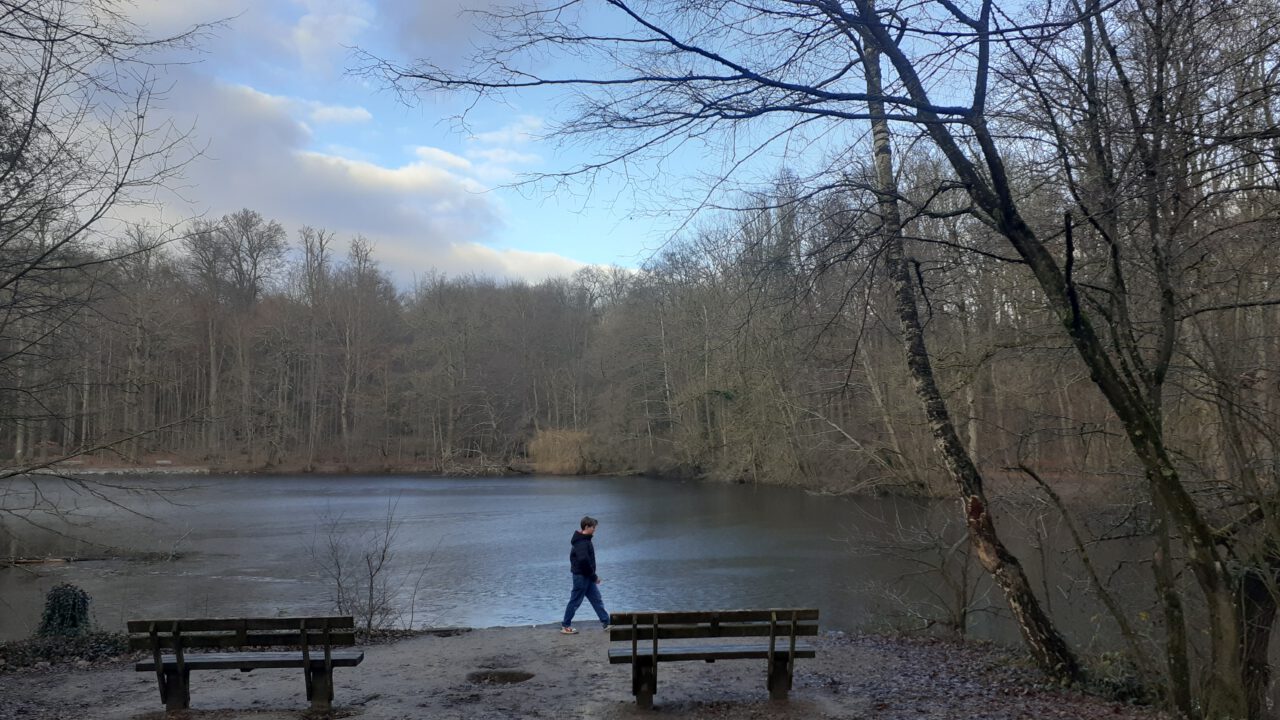 Nikolauswanderung im Wald - Foto (c) Georg Magirius