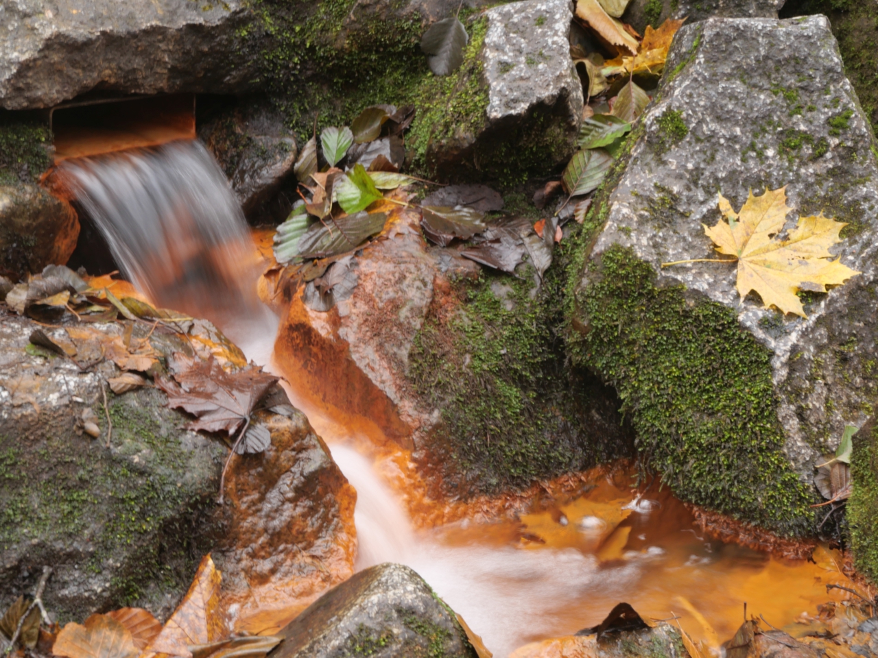 Nikolaus-Wanderung zum Spekulatius-Brunnen