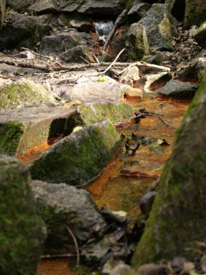Advents-Wanderung zum Spekulatius-Brunnen