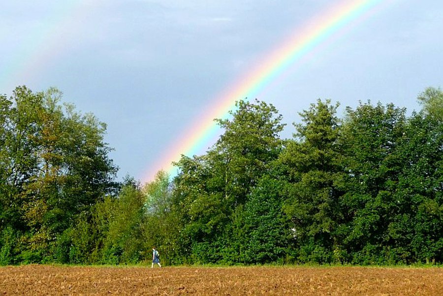 Regenbogen über Acker mit Spaziergängerin - Bild für Konolenz-Knigge