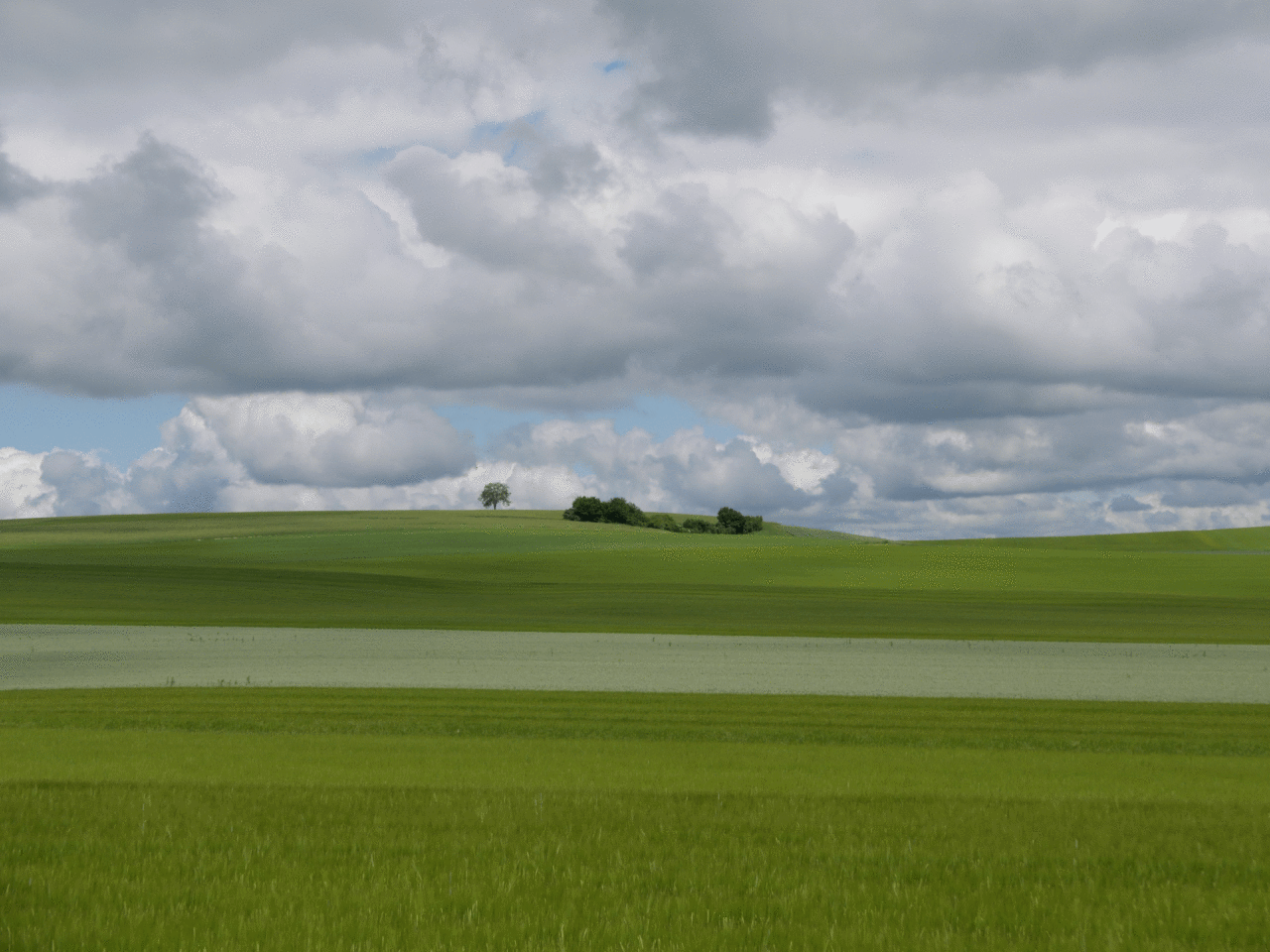 Kürbishöhe bei Stetten - Etappe der Spirituellen Wanderung "Den Ursprung schmecken"