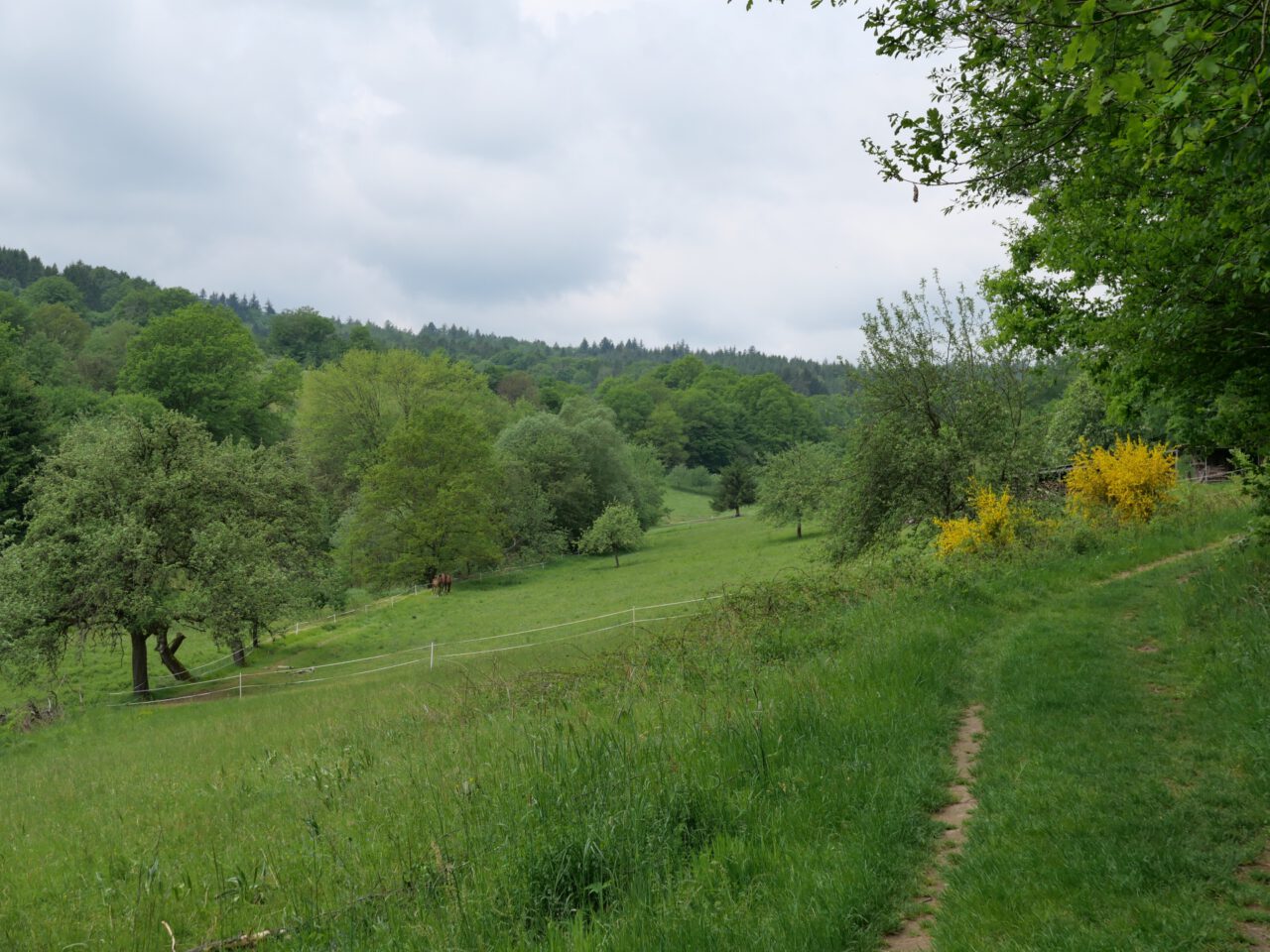 Tal bei Heigenbrücken