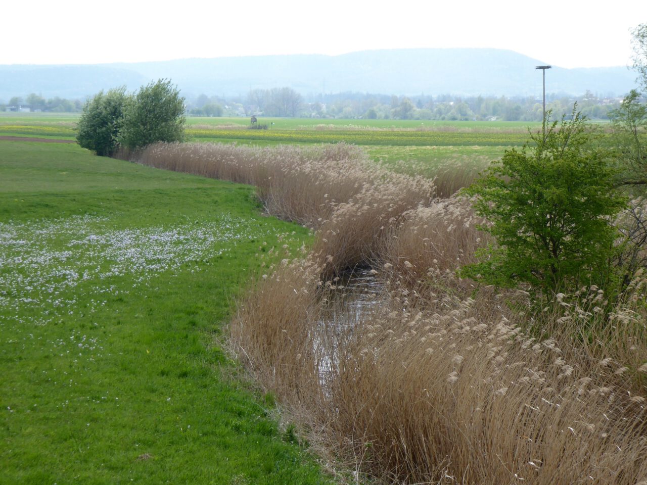 Klima retten mit dem Zeh - zum Beispiel zwischen Haßberge und Steigerwald am Landwehrgraben bei Haßfurt - Foto (c) Georg Magirius aus Buch "Frankenfreude"