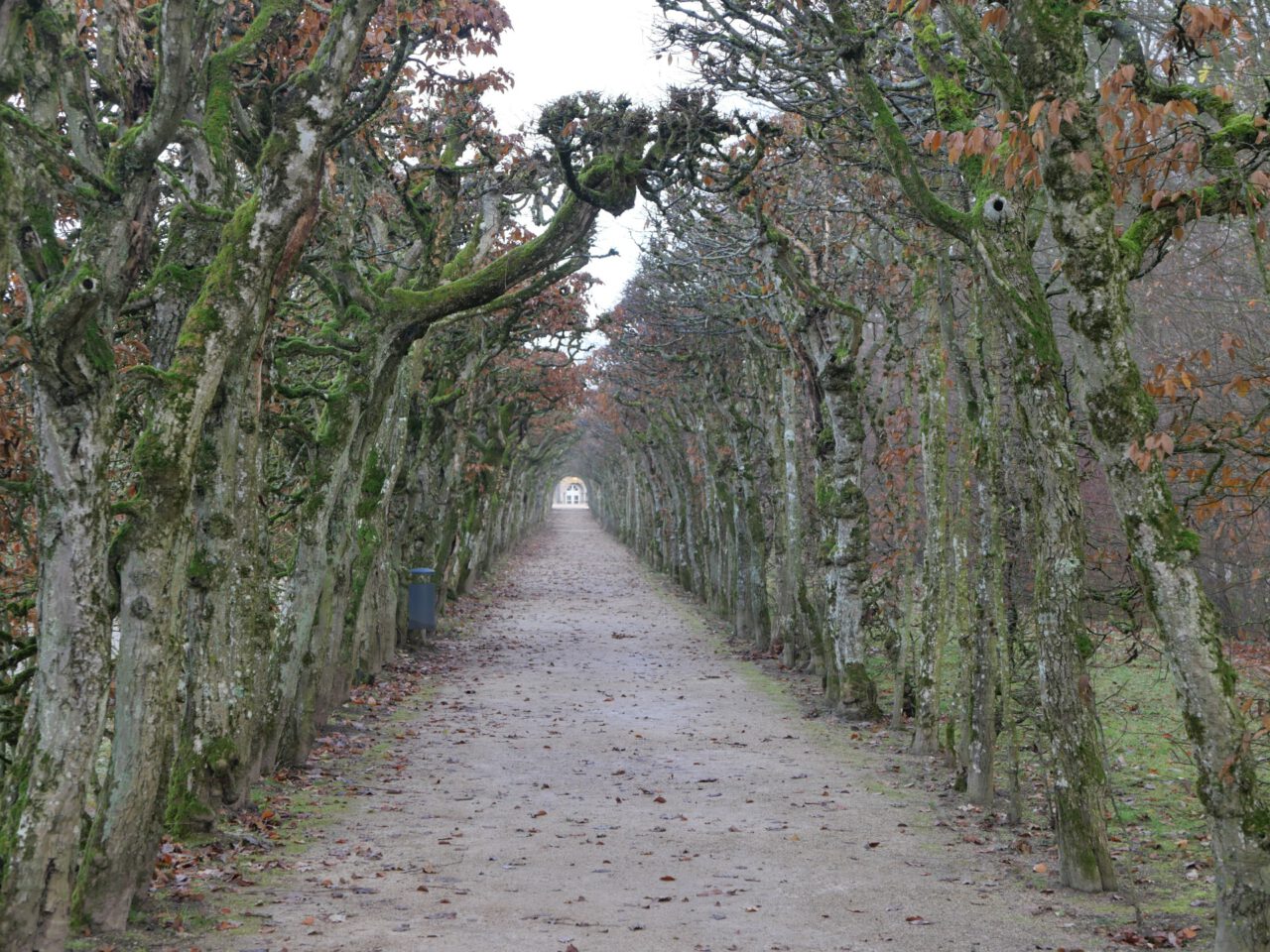 Wo die Seele leicht wird - Laubengang zur Sonnentempel in der Eremitage - Foto (c) Georg Magirius