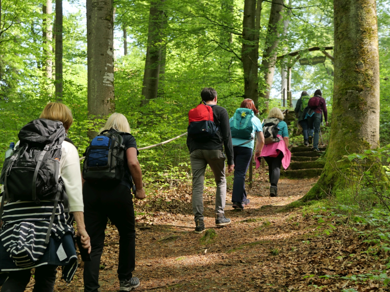 Aufstieg zur Burg - Etappe des Projekttages "Schweben für Anfänger" - Foto (c) Georg Magirius